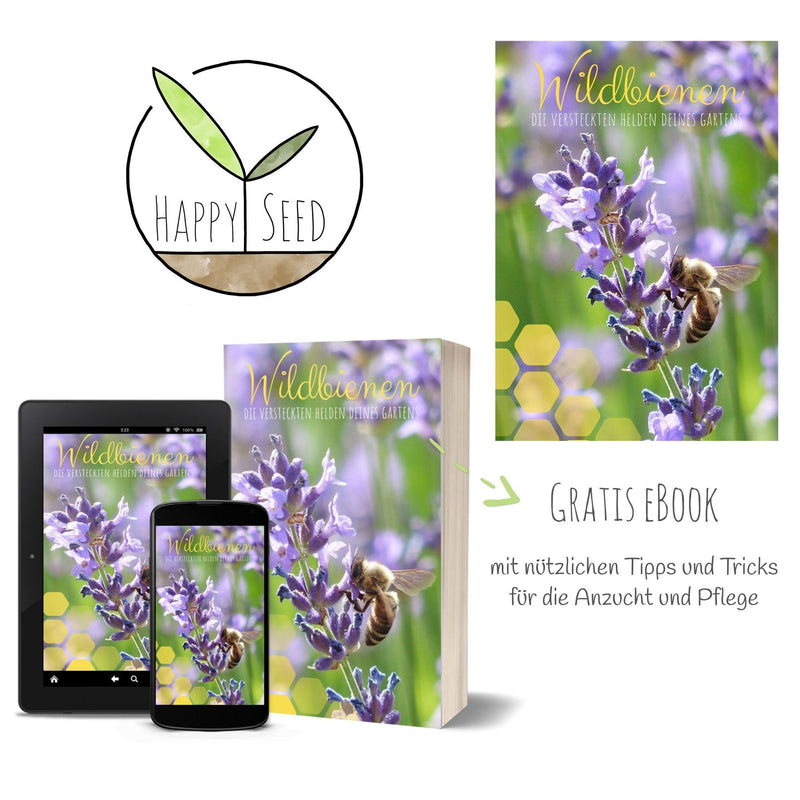 300x Lavendel Samen mit hoher Keimrate - Vielseitig einsetzbare Heilpflanze - HappySeed
