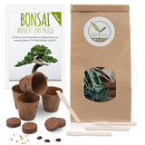 Bonsai Starter Kit inkl. eBook - Pflanzset aus Kokostöpfen, Samen & Erde  (Zwerg-Granatapfel + Tamarinde) - HappySeed