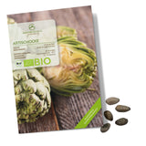 BIO Artischocken Samen (Imperial Star) - Artischocke Saatgut aus biologischem Anbau (5 Korn) - HappySeed