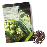 BIO Blumenkohl Samen (Romanesco) - Blumenkohl Saatgut aus biologischem Anbau (50 Korn) - HappySeed