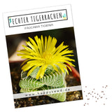 Echter Tigerrachen Samen - Faucaria Tigra (Kakteen) - HappySeed