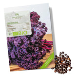 BIO Grünkohl Samen (Redbor) - Grünkohl Saatgut aus biologischem Anbau (25 Korn) - HappySeed