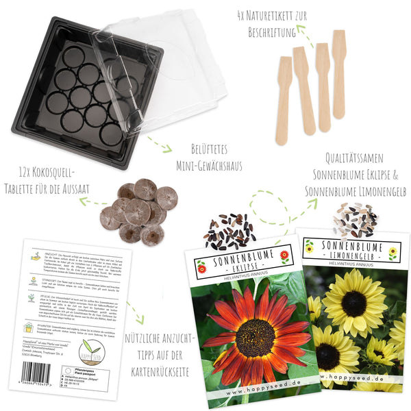 Sonnenblumen Anzuchtset - Pflanzset aus Mini-Gewächshaus, Sonnenblumen Samen &amp; Erde (Eklipse + Limonengelb) - HappySeed