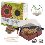 Sonnenblumen Anzuchtset - Pflanzset aus Mini-Gewächshaus, Sonnenblumen Samen &amp; Erde (Eklipse + Limonengelb) - HappySeed