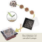 Sonnenblumen Anzuchtset - Pflanzset aus Mini-Gewächshaus, Sonnenblumen Samen &amp; Erde (Eklipse + Limonengelb) - HappySeed