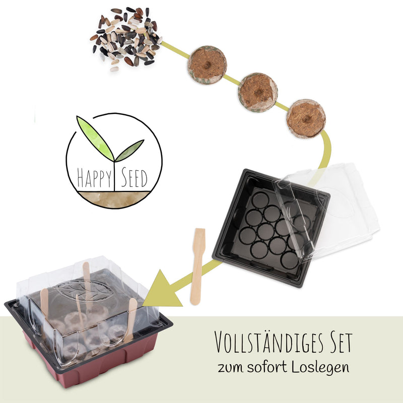 Sonnenblumen Anzuchtset - Pflanzset aus Mini-Gewächshaus, Sonnenblumen Samen &amp; Erde (Eklipse + Limonengelb) - HappySeed