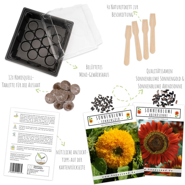 Sonnenblumen Anzuchtset - Pflanzset aus Mini-Gewächshaus, Sonnenblumen Samen &amp; Erde (Abendsonne + Sonnengold) - HappySeed