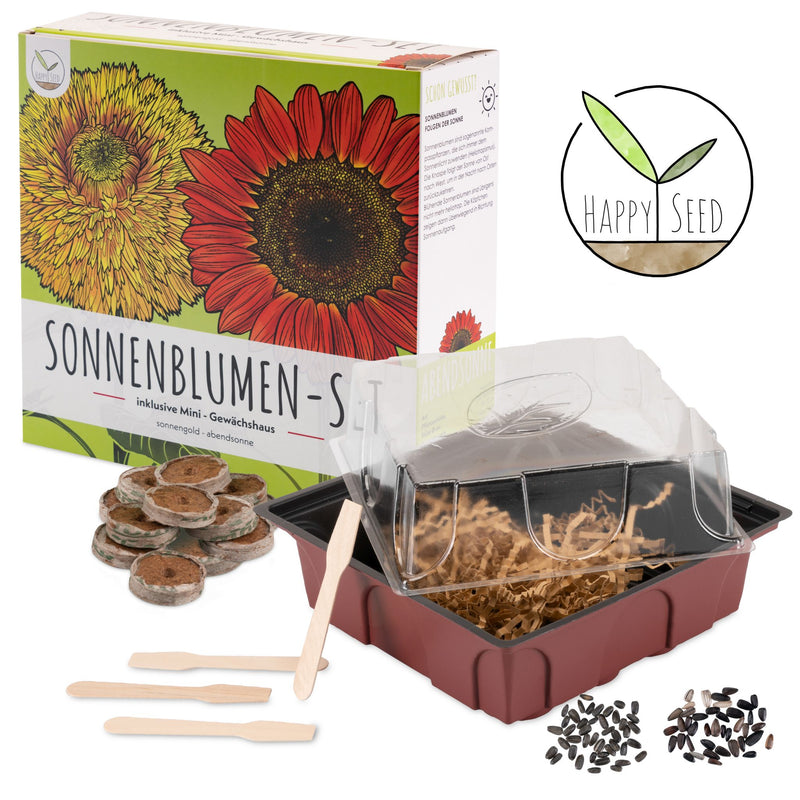 Sonnenblumen Anzuchtset - Pflanzset aus Mini-Gewächshaus, Sonnenblumen Samen &amp; Erde (Abendsonne + Sonnengold) - HappySeed
