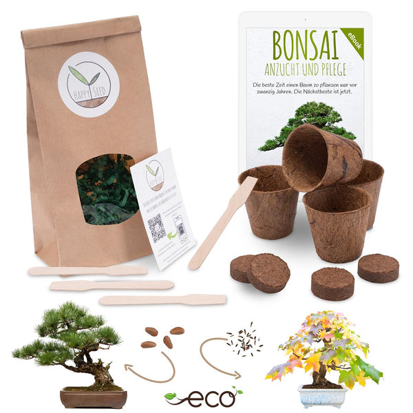 Bonsai Starter Kit inkl. eBook - Pflanzset aus Kokostöpfen, Samen & Erde  (Mittelmeer Pinie + Amerikanischer Amberbaum) - HappySeed