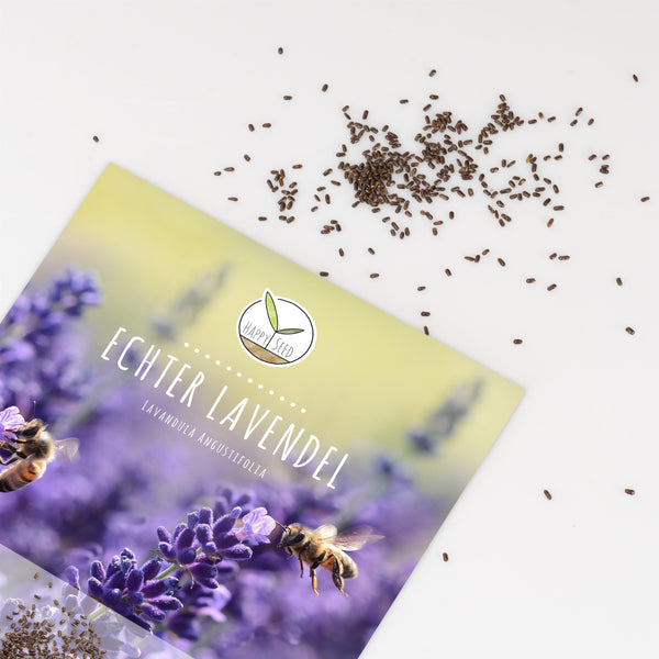 Lavendel Samen - Lavandula angustifolia (900 Korn) - HappySeed