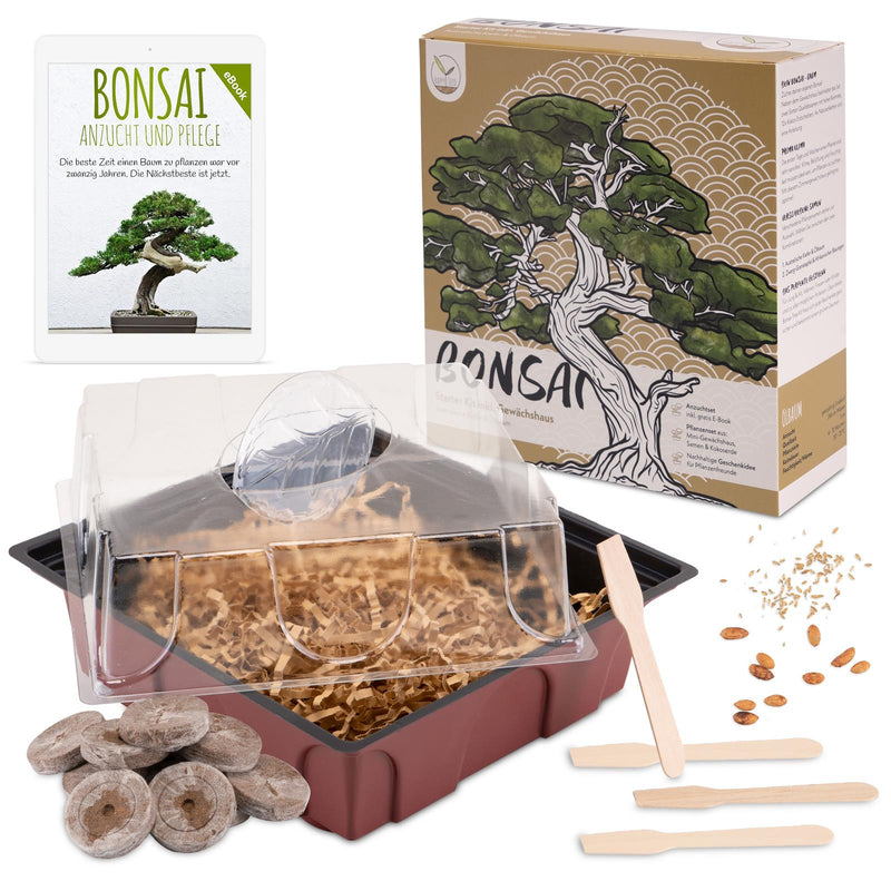 Bonsai Starter Kit inkl. GRATIS eBook &amp; Gewächshaus (Australische Kiefer + Ölbaum) - HappySeed