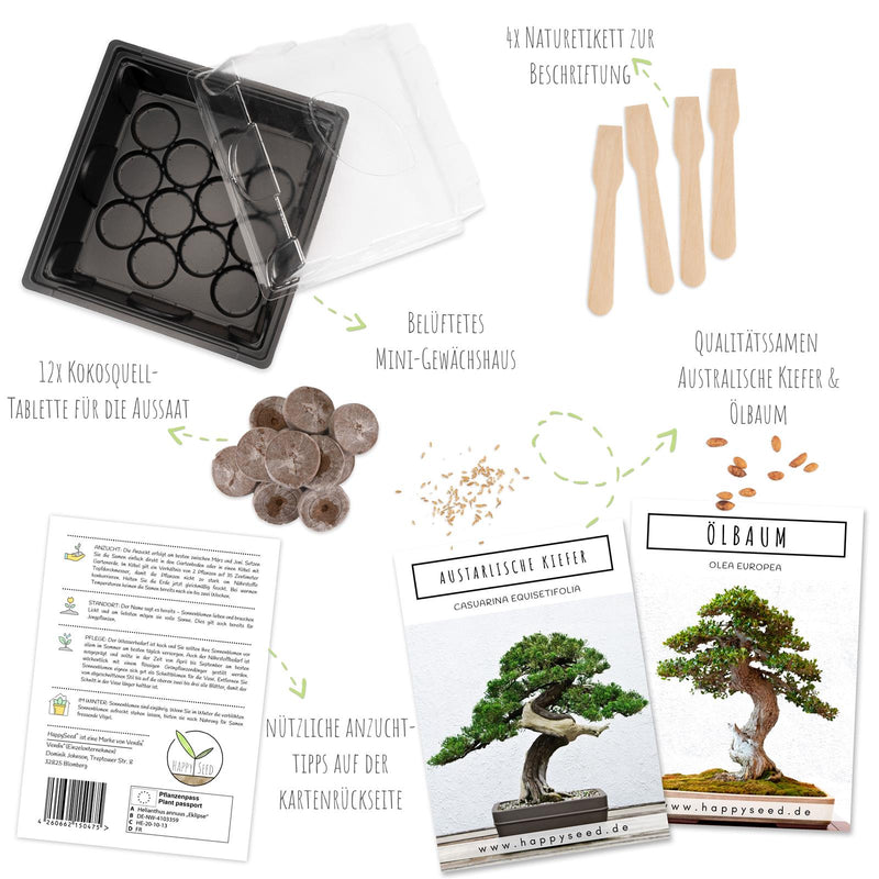 Bonsai Starter Kit inkl. GRATIS eBook &amp; Gewächshaus (Australische Kiefer + Ölbaum) - HappySeed