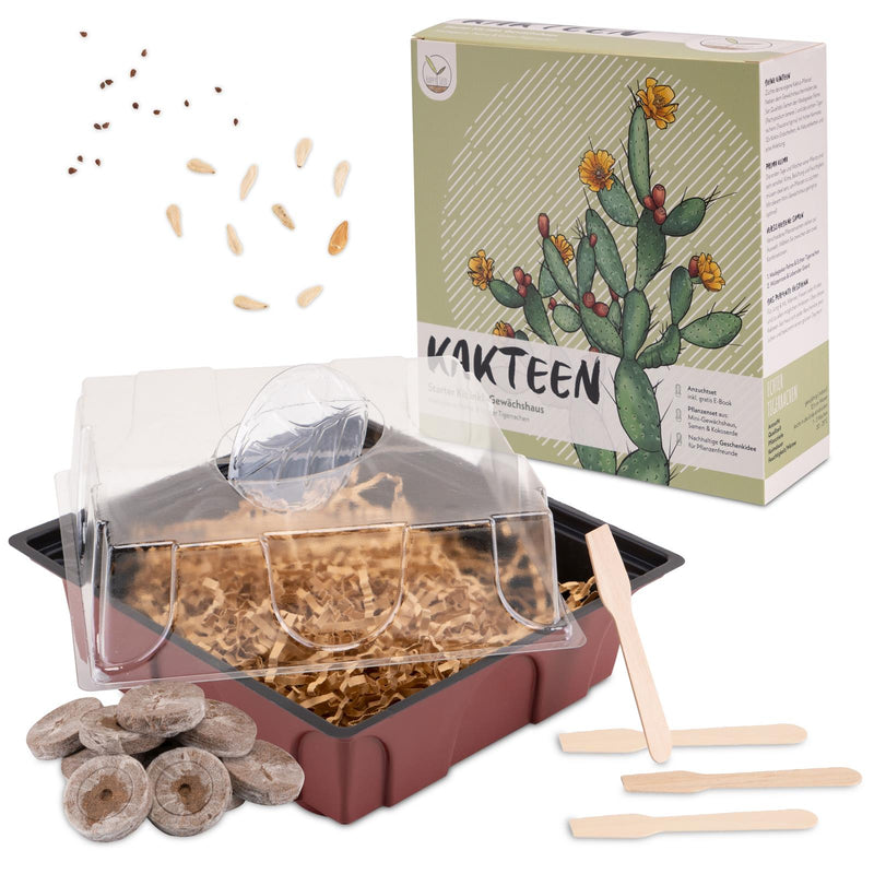 Kakteen Starter Kit - Mini-Gewächshaus, Erde & Samen (Madagascar Palme + Tigerrachen) - HappySeed