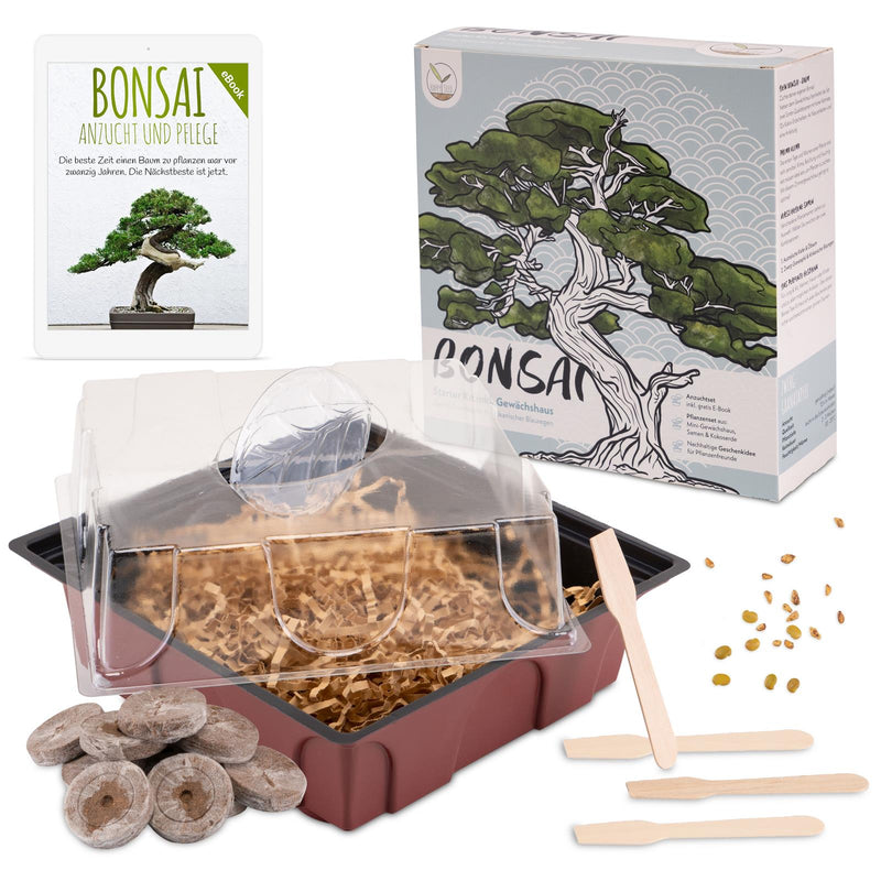 Bonsai Starter Kit inkl. GRATIS eBook & Gewächshaus (Afrikanischer Blauregen + Zwerg-Granatapfel) - HappySeed
