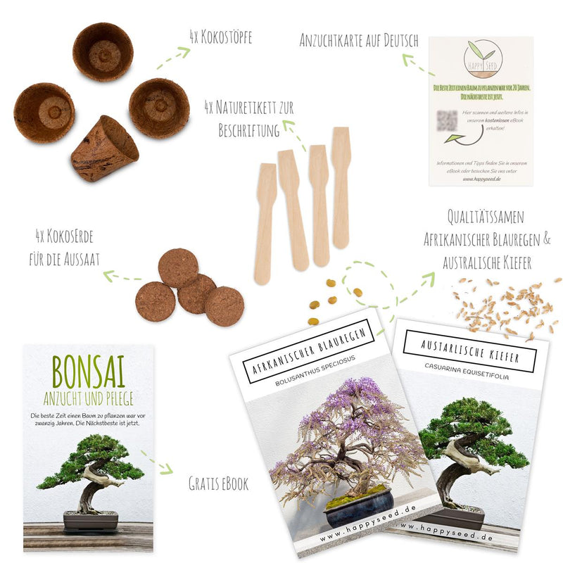 Bonsai Starter Kit inkl. eBook - Pflanzset aus Kokostöpfen, Samen &amp; Erde (Afrikanischer Blauregen + Australische Kiefer) - HappySeed