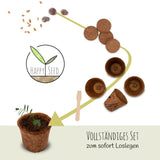 Bonsai Starter Kit inkl. eBook - Pflanzset aus Kokostöpfen, Samen &amp; Erde  (Zwerg-Granatapfel + Tamarinde) - HappySeed