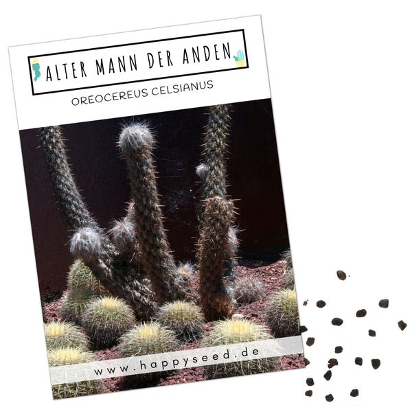 Außergewöhnliche Kakteen Samen mit hoher Keimrate - Alter Mann der Anden (Oreocereus Celsianus) - HappySeed