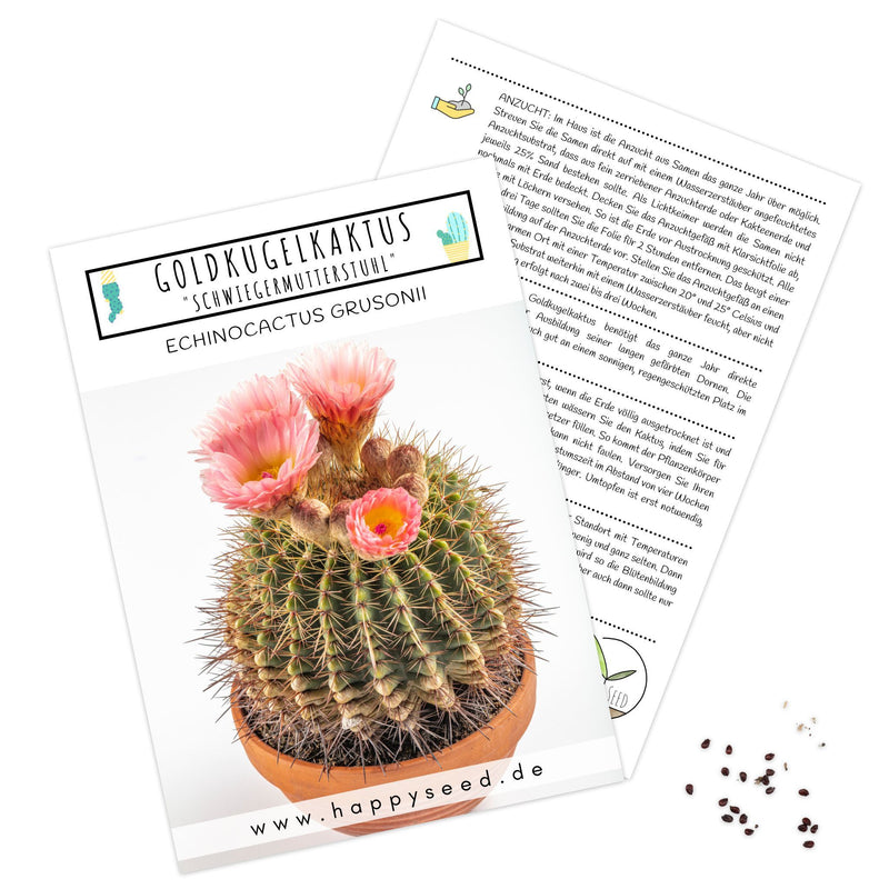 Außergewöhnliche Kakteen Samen mit hoher Keimrate -  Goldkugelkaktus (Echinocactus Grusonii) - HappySeed