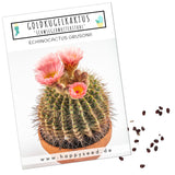 Außergewöhnliche Kakteen Samen mit hoher Keimrate -  Goldkugelkaktus (Echinocactus Grusonii) - HappySeed