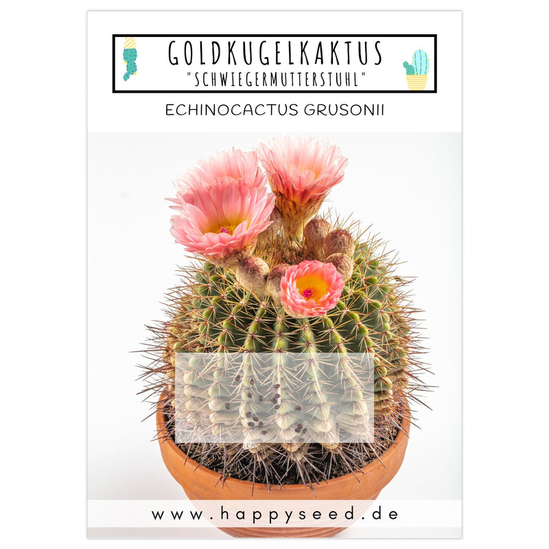 Außergewöhnliche Kakteen Samen mit hoher Keimrate -  Goldkugelkaktus (Echinocactus Grusonii) - HappySeed