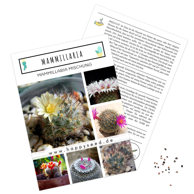 Außergewöhnliche Kakteen Samen mit hoher Keimrate - Mammillaria Mix - HappySeed
