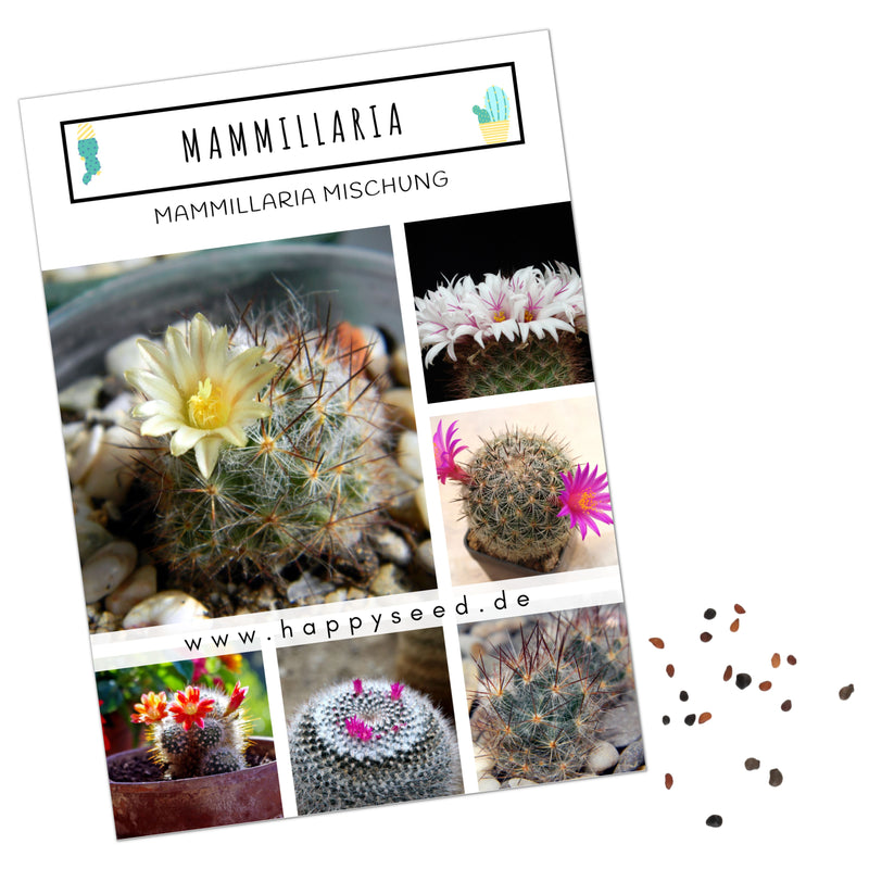 Außergewöhnliche Kakteen Samen mit hoher Keimrate - Mammillaria Mix - HappySeed