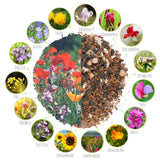 Schmetterlingswiese Samen für eine bunte Blumenwiese - Farbenfrohe &amp; nektarreiche Wildblumensamen für Schmetterlinge - HappySeed