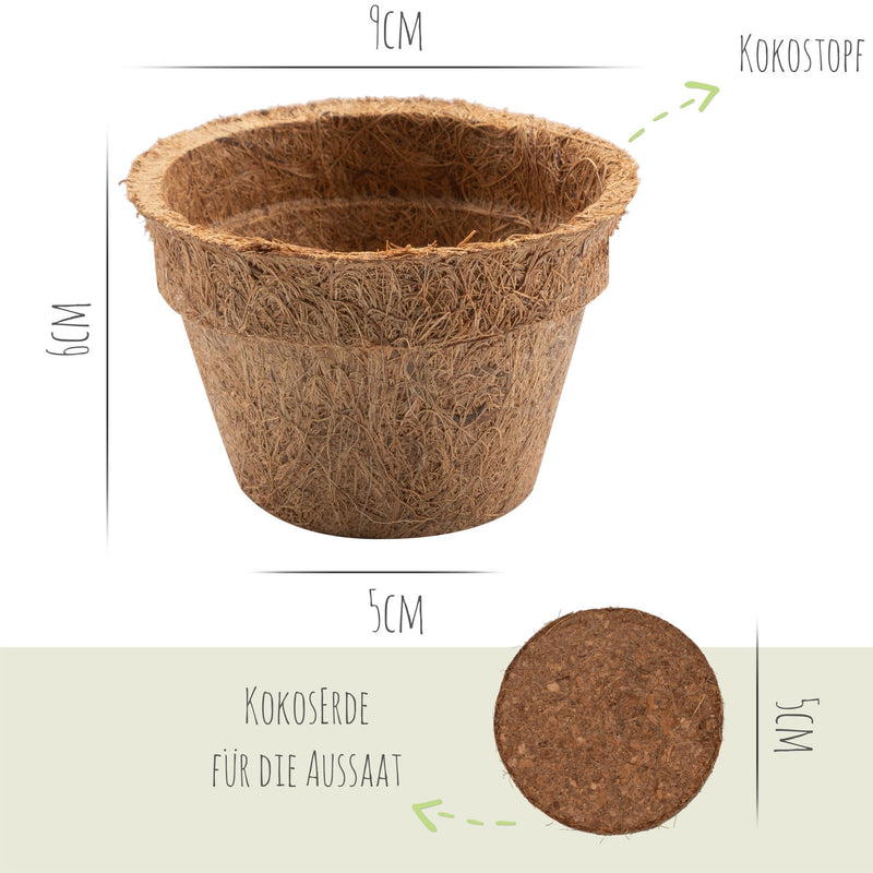 Kokos Anzuchttöpfe & Quelltabletten für eine erfolgreiche Anzucht - torffrei - Größe: 0,15 L - Ø 8 cm - HappySeed