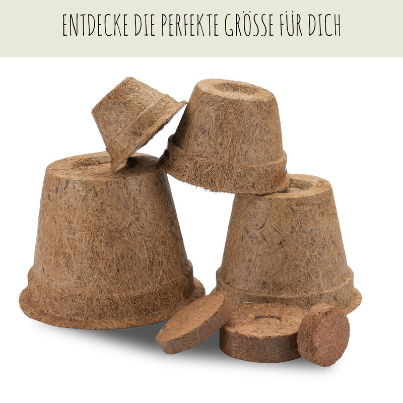 Kokos Anzuchttöpfe & Quelltabletten für eine erfolgreiche Anzucht - torffrei - Größe: 0,30 L - Ø 10 cm - HappySeed