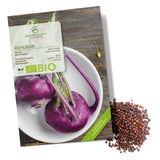 BIO Lila Kohlrabi Samen (Milan Purple) - Kohlrabi Saatgut aus biologischem Anbau (300 Korn) - HappySeed