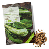 BIO Mangold Samen (Schweizer) - Mangold Saatgut aus biologischem Anbau (75 Korn) - HappySeed