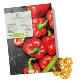 BIO Paprika Samen (California Wonder) - Rote Paprika Saatgut aus biologischem Anbau (10 Korn) - HappySeed