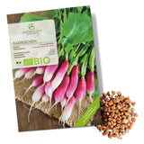 BIO Radieschen Samen (French Breakfast) - Radieschen Saatgut aus biologischem Anbau (75 Korn) - HappySeed