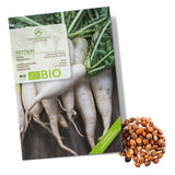 BIO Rettich Samen (Japanischer Daikon) - Rettich Saatgut aus biologischem Anbau (50 Korn) - HappySeed