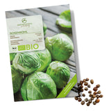 BIO Rosenkohl Samen (Groninger) - Rosenkohl Saatgut aus biologischem Anbau (30 Korn) - HappySeed