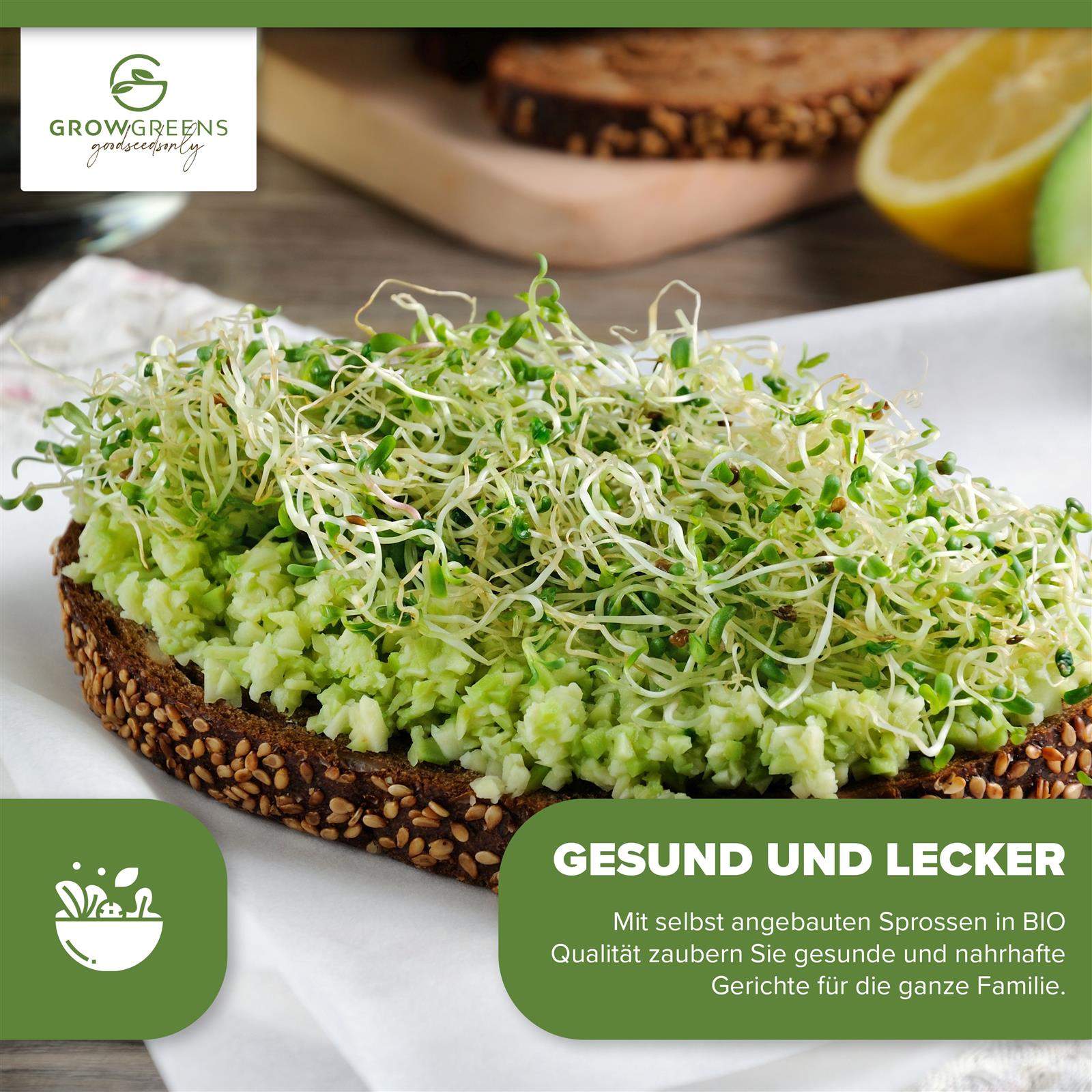 LeJoy Sprossengarten BPA-frei – Keimschale Mit Abdeckung & Gitterrost Für Alfalfa, Weizengras & Mehr, 33 X 26 Cm