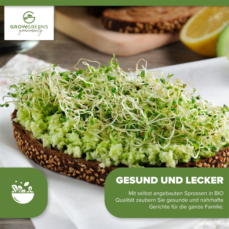 BIO Alfalfa Sprossen Samen (50g) - Microgreens Saatgut ideal für die Anzucht von knackigen Keimsprossen - HappySeed