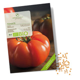 BIO Tomatensamen (Rouge de Marmande) - Tomaten Saatgut aus biologischem Anbau (10 Korn) - HappySeed