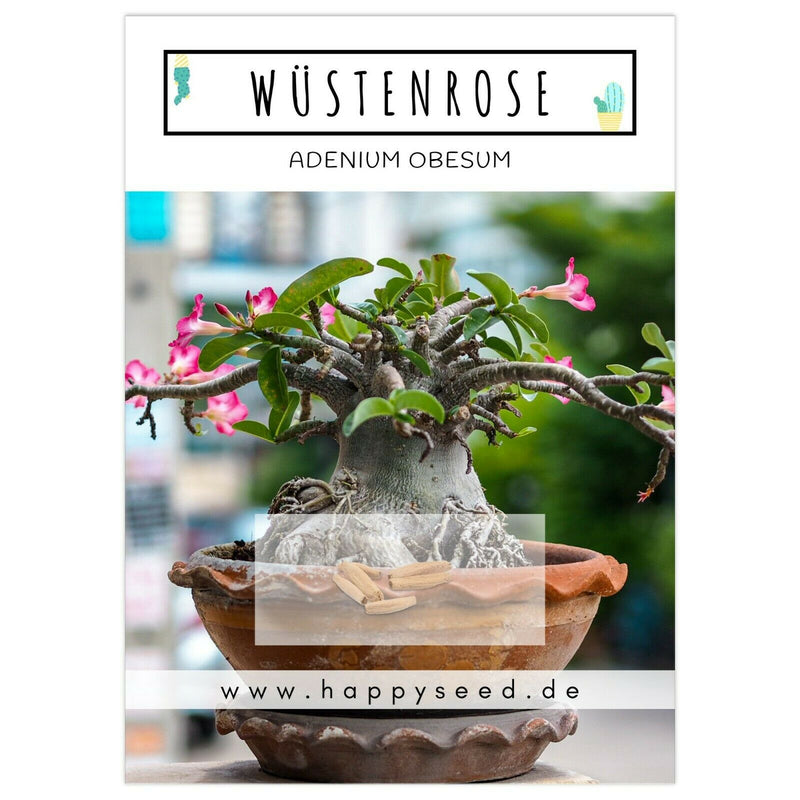 Wüstenrose Samen - Adenium Obesum (Kakteen) - HappySeed