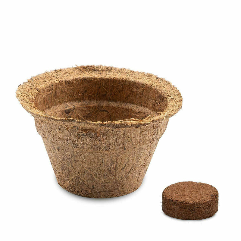 Kokos Anzuchttöpfe &amp; Quelltabletten für eine erfolgreiche Anzucht -torffrei- Größe 0,05 L - Ø 6 cm - HappySeed